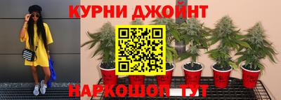 mdpv Коммунар
